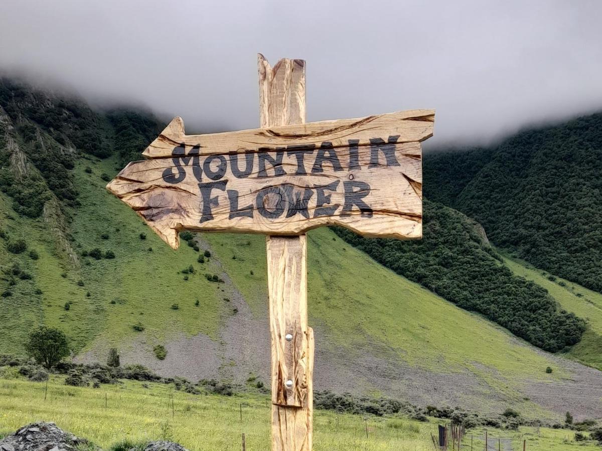 Mountain Flower Cottage Kazbegi Eksteriør billede